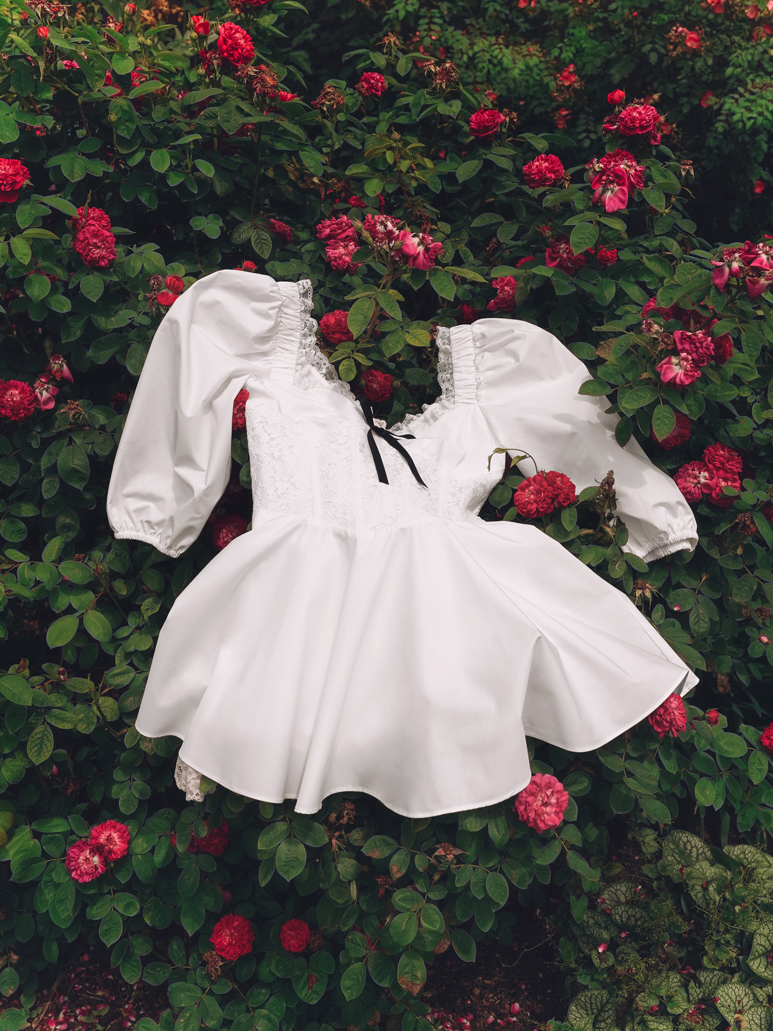 Lichi - Online fashion store