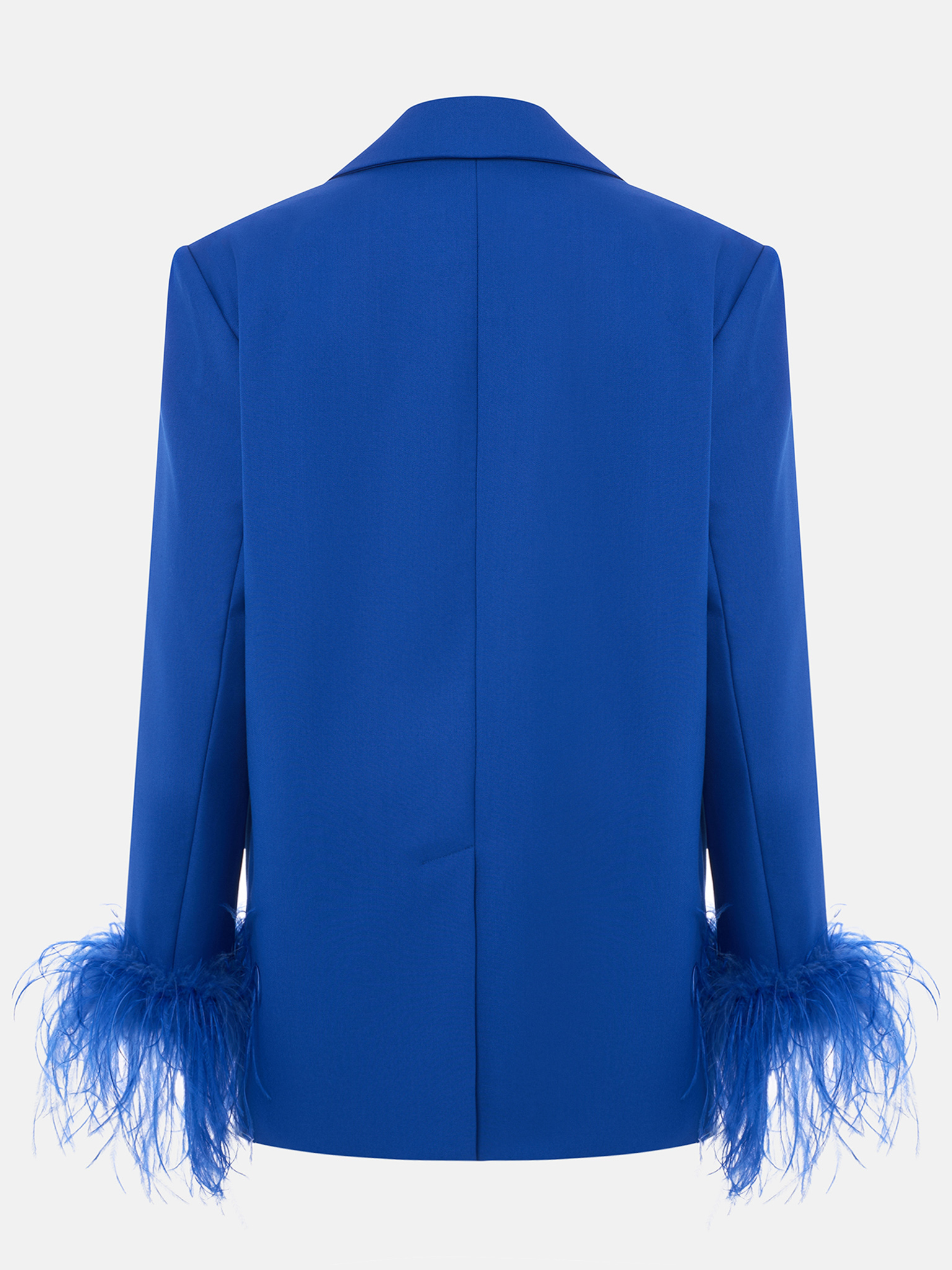 Single-breasted jacket with accent buttons and feathers