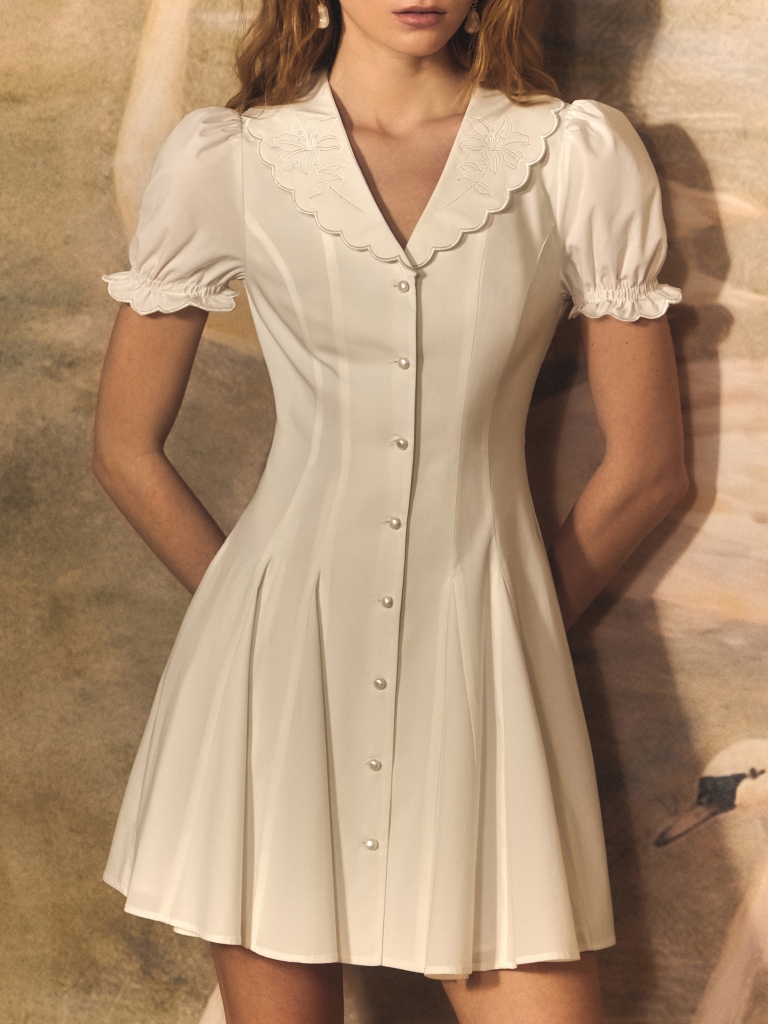 Fitted mini dress with collar embroidery