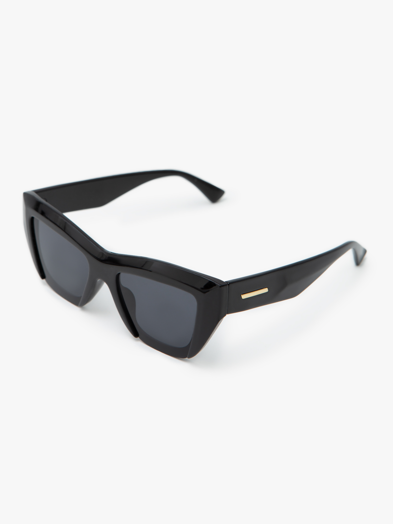 Large sunglasses with glossy frames