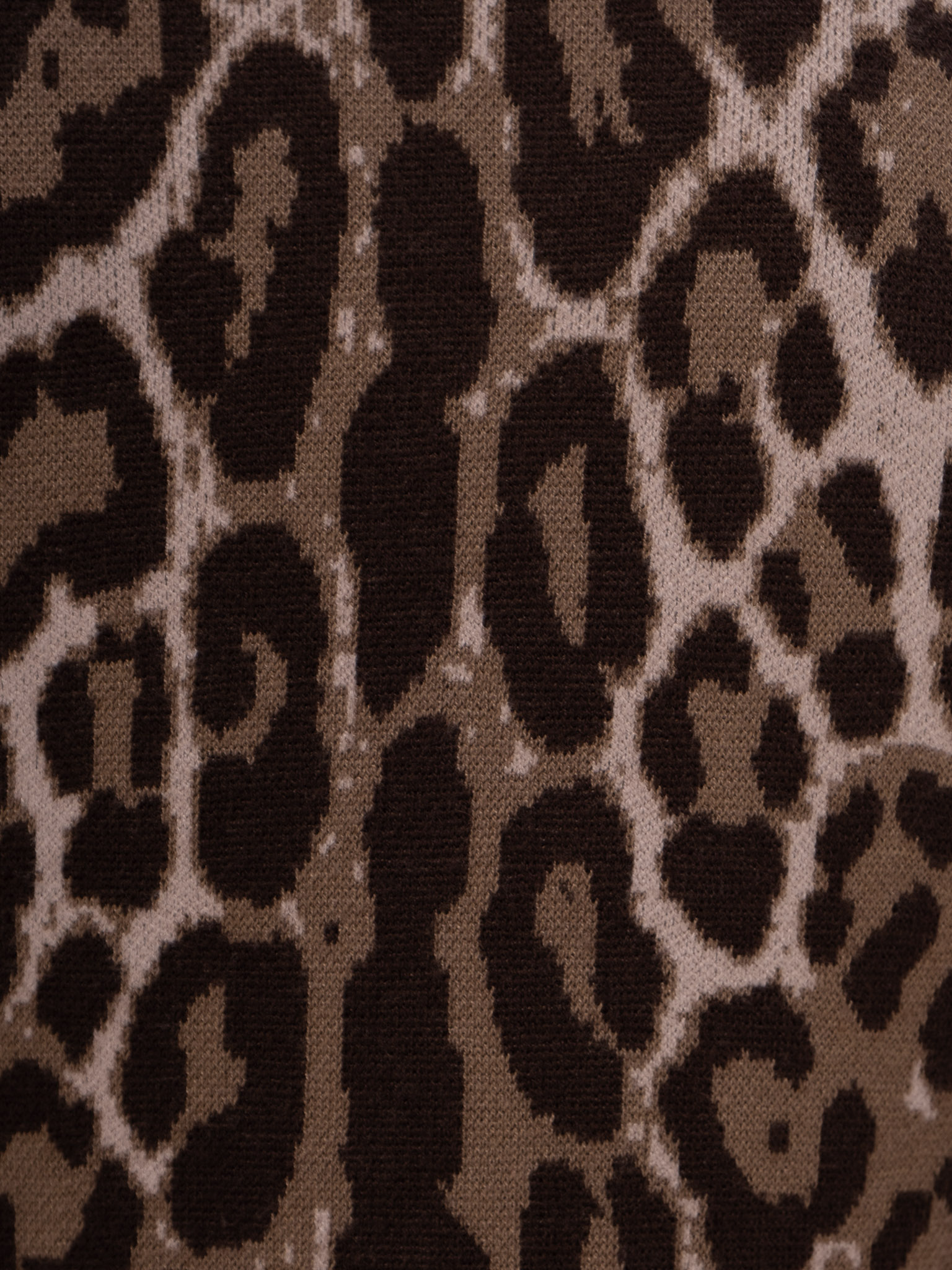 Leopard print jersey mini dress