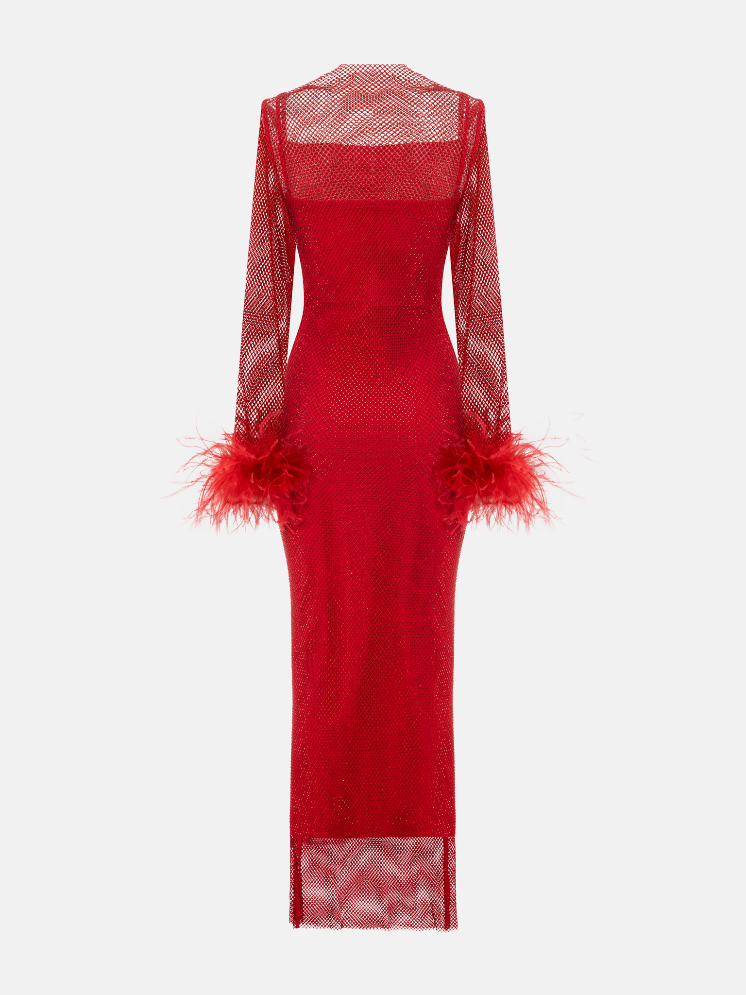 Mesh maxi dress with feathers on the sleeves