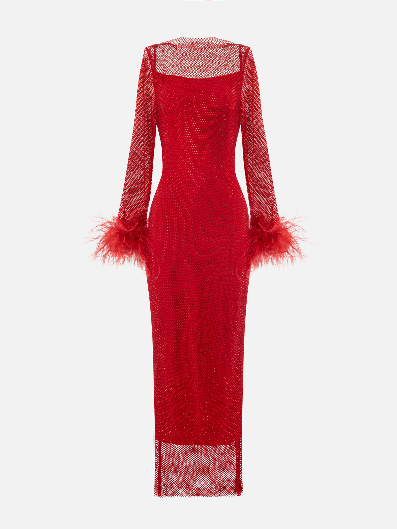 Mesh maxi dress with feathers on the sleeves