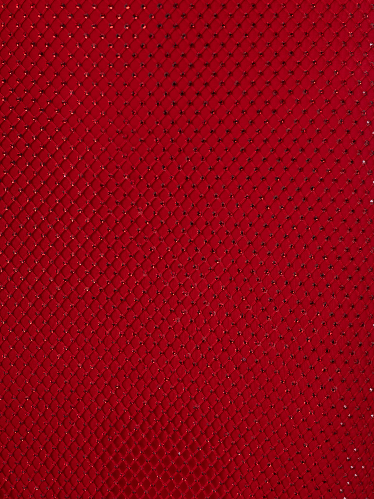 Mesh maxi dress with feathers on the sleeves