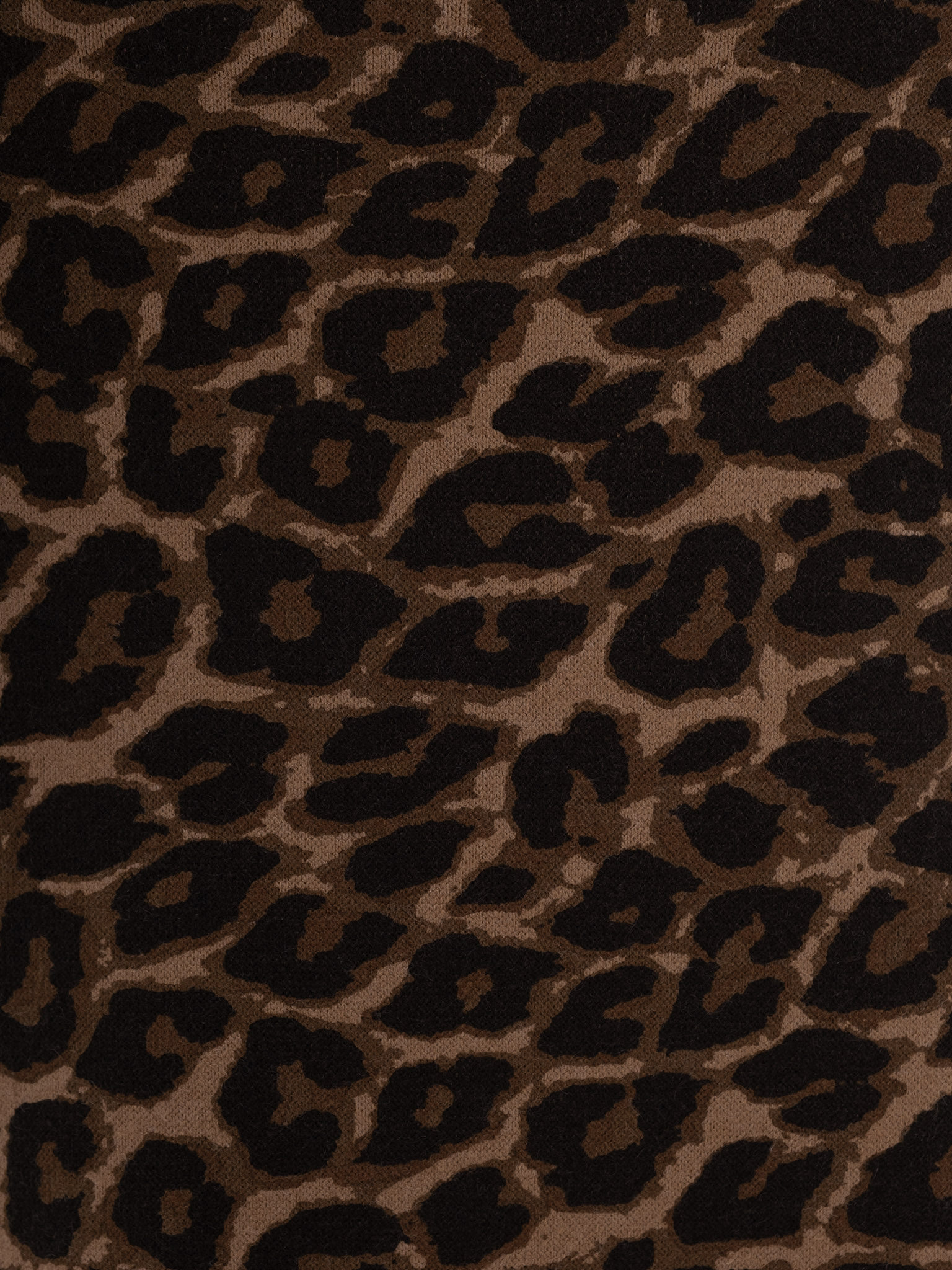 Leopard print maxi skirt