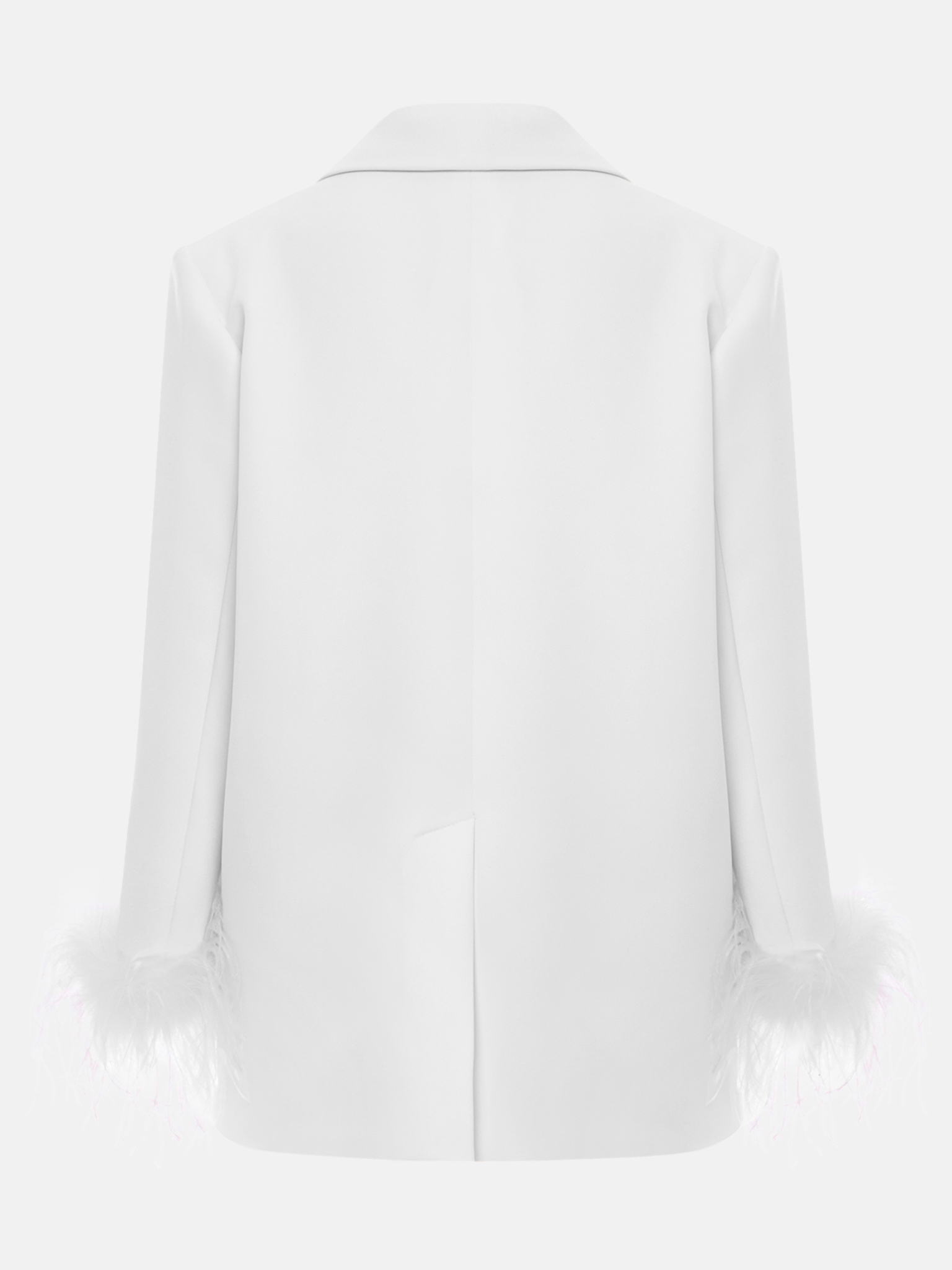 Single-breasted jacket with accent buttons and feathers