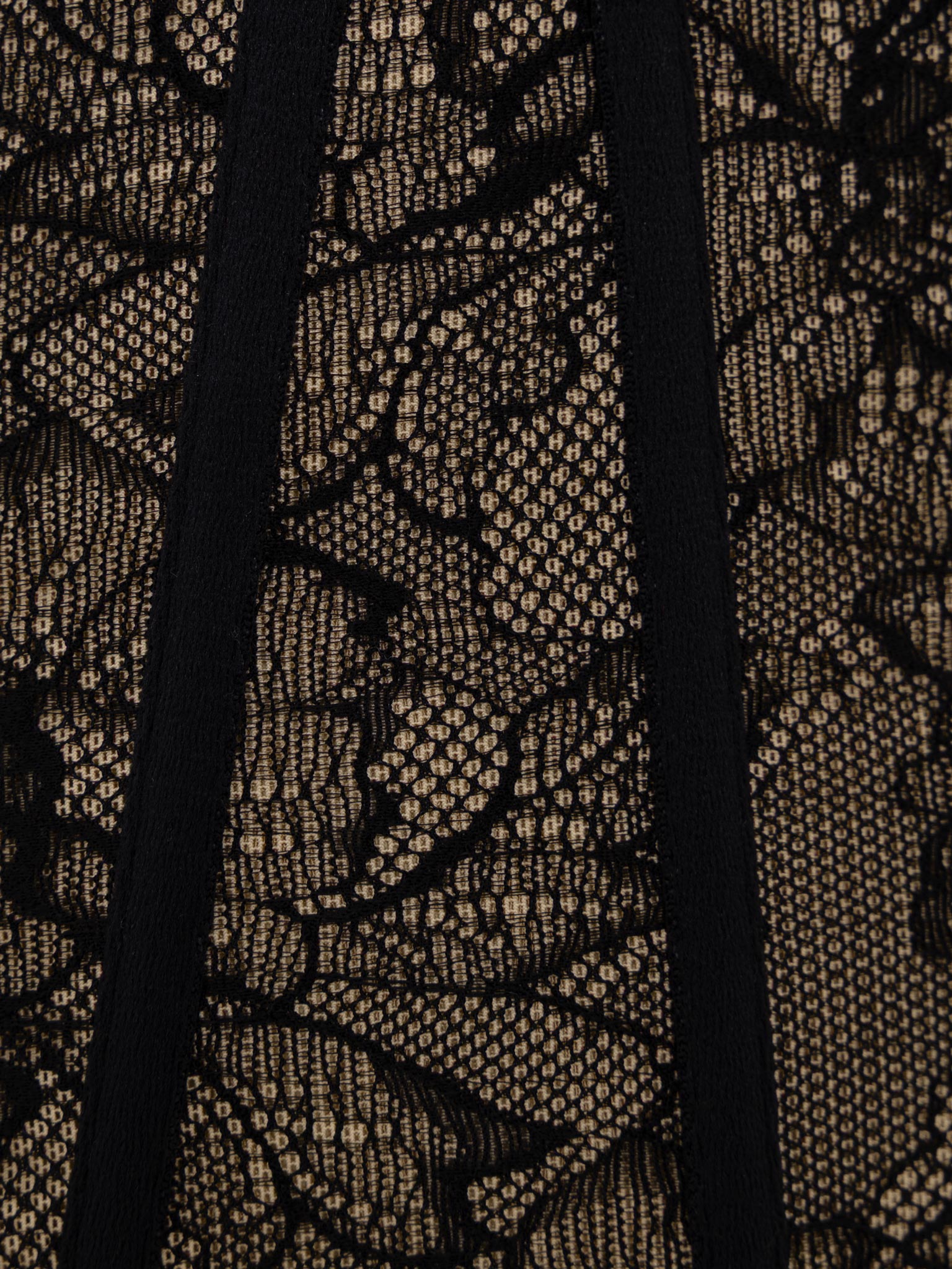 Lace corset with choker