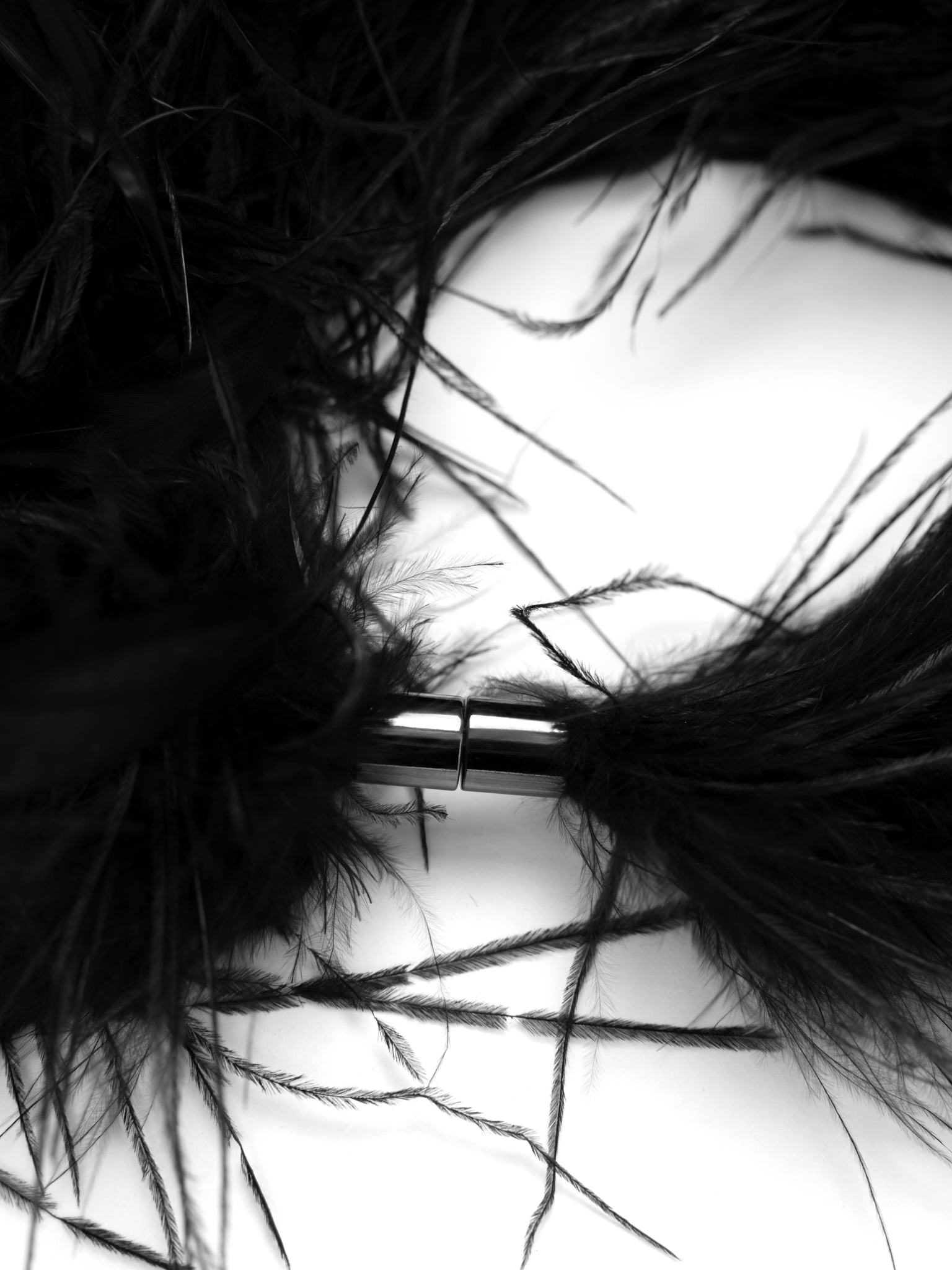 Feather necklace